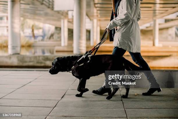 low section of woman with dog walking on subway platform - low section stock pictures, royalty-free photos & images