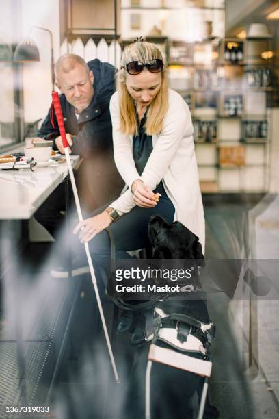 mature man and woman looking at dog in cafe - blind man ストックフォトと画像