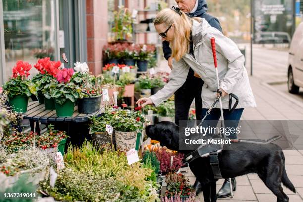 blind woman with dog buying flowers on footpath - deficiência visual - fotografias e filmes do acervo