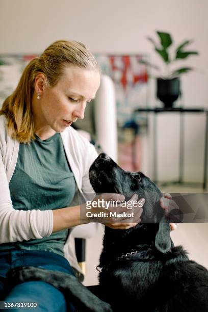 mature woman stroking dog in living room - love is blind stock-fotos und bilder