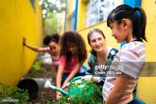 学校の庭に植える生徒たち - school yard ストックフォトと画像