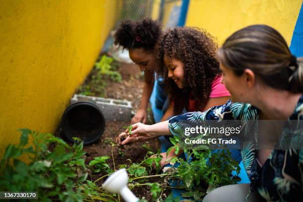 students planting in the school's garden - family garden play area stock pictures, royalty-free photos & images