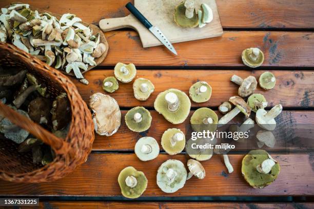 preparing wild mushrooms - fall harvest table stock pictures, royalty-free photos & images