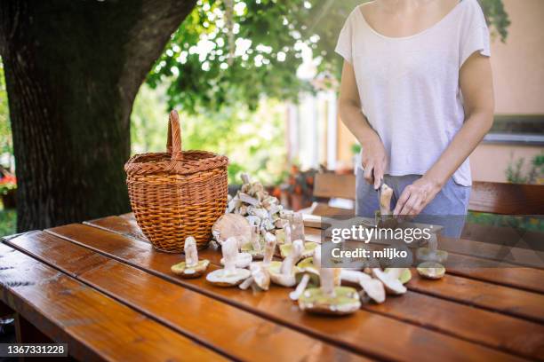 preparing wild mushrooms - boletus reticulatus stock pictures, royalty-free photos & images