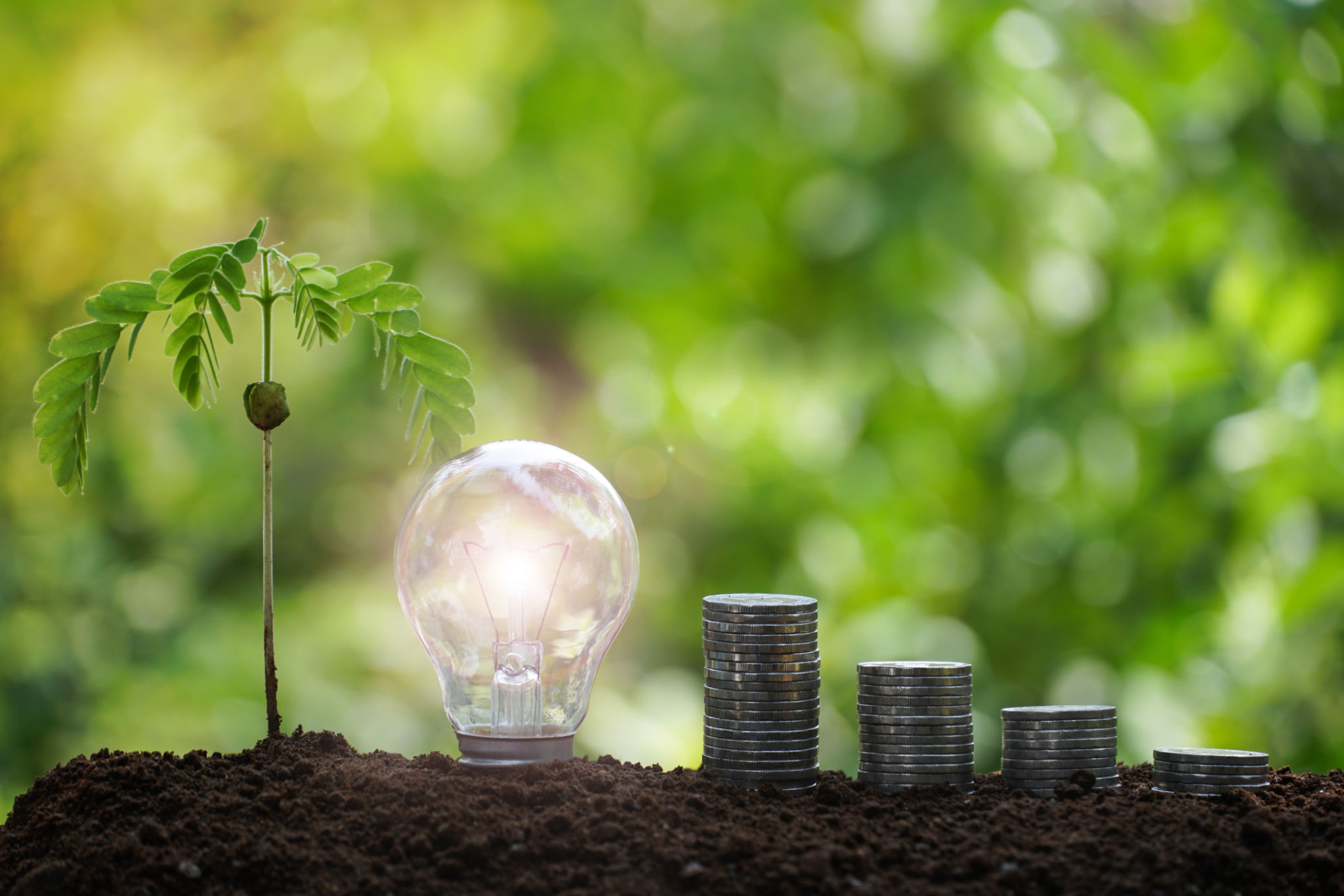 light bulb with coins stack increase business growth. business sustainable financial concept. light bulb with coins stack increase business growth. business sustainable financial concept.