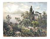 Exotic plant green jungle wallpaper. hand drawn tropical  jungle vintage botanical illustration.