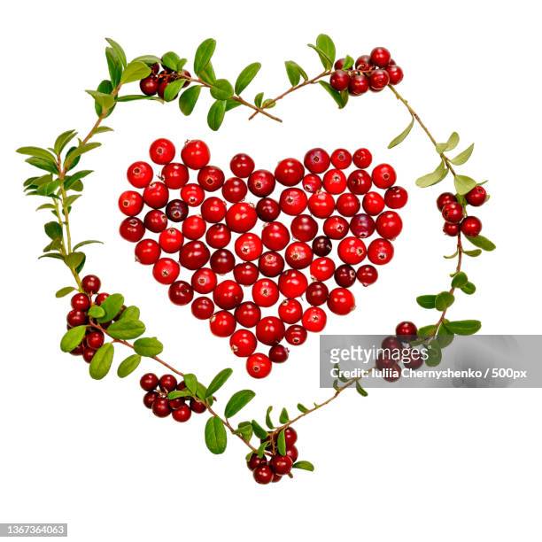 decorative cranberry heart with a wreath of lingonberries cowberry - cranberry heart stock-fotos und bilder