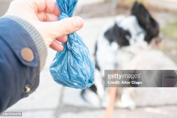 a person walking with his dog carries a bag for dog feces as is mandatory in many cities and places. - men taking a dump stockfoto's en -beelden