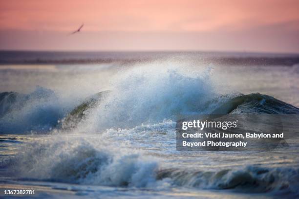 amazing tranquil beach scene with wave breaking at cape may, new jersey - pink jersey stock-fotos und bilder