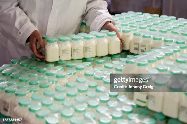 stacks of vacuum packed groups of small milk bottles - food processing plant stock pictures, royalty-free photos & images