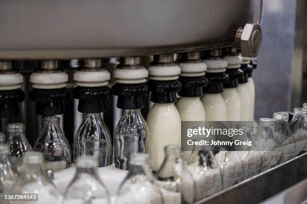 empty bottles being filled with milk on production line - produit laitier photos et images de collection
