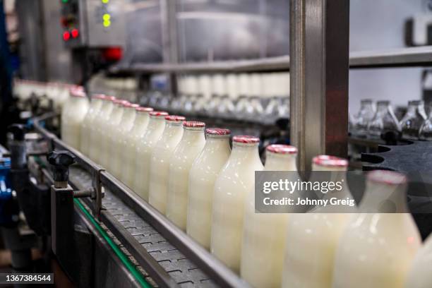 glass milk bottles moving along automated conveyor belt - milk pack 個照片及圖片檔