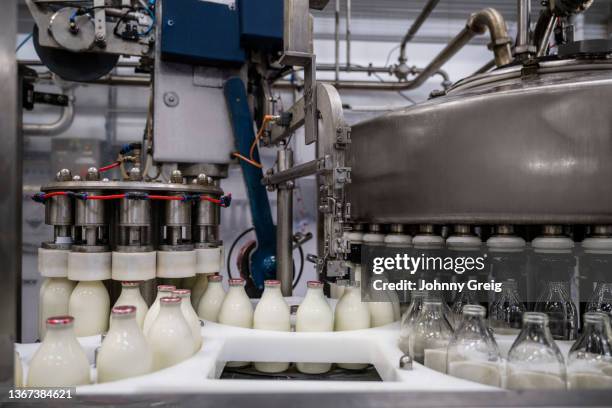 automated system in milk bottling plant - milk production line stock pictures, royalty-free photos & images