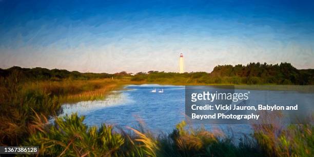 beautiful serenity in painted image with swans on pond at cape may point state park, new jersey - jersey shore new jersey photos et images de collection