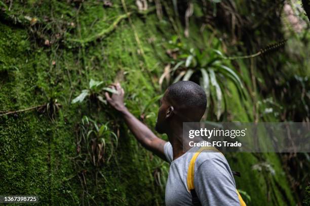 mid adult man touching a tree in the forest - jungle explorer stock pictures, royalty-free photos & images