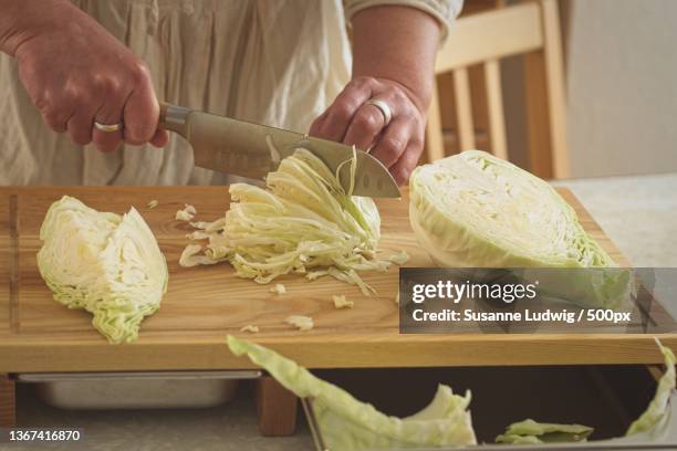 coleslaw in the making,midsection of woman cutting vegetable on cutting board,germany - cabbage family fotografías e imágenes de stock