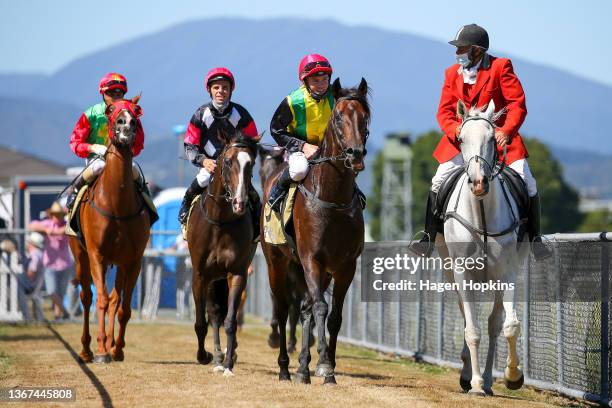 The Chosen One ridden by Matthew Cameron returns to scale after winning the Harcourts Thorndon Mile during Wellington Cup Day at Trentham on January...