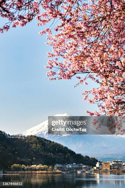 fuji mountain and sakura branches in spring , kawaguchiko lake, japan - japanese pagoda stock pictures, royalty-free photos & images