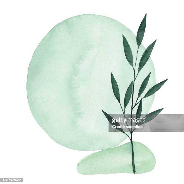 aquarell grün abstrakter hintergrund mit pflanze - pastellfarbig stock-grafiken, -clipart, -cartoons und -symbole