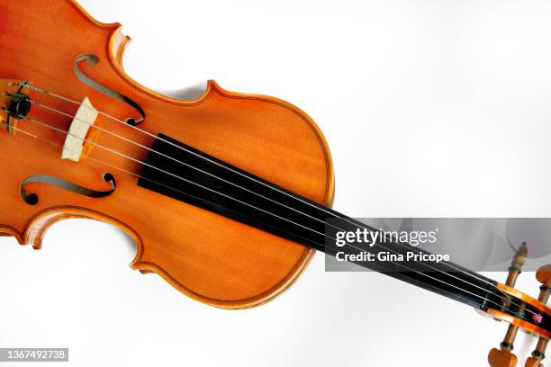 close-up of a violin on white backgrond - violin bridge stock pictures, royalty-free photos & images