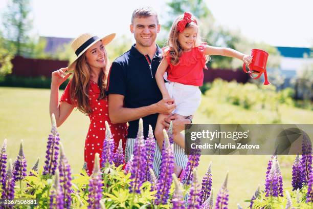 a smiling happy family with one child in nature among the summer bright colors of lupines. happy family - familys revenge of the bridesmaids stockfoto's en -beelden