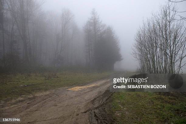 Photo taken on January 11, 2012 in the Etouvans woods near the eastern French city of Montbeliard shows a path where the body of a 14-year-old boy...