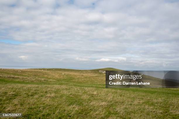 a grassy headland - headland stockfoto's en -beelden