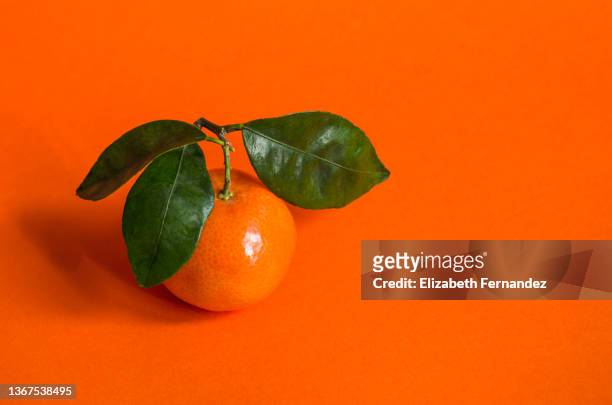 one single tangerine isolated on a orange background, copy space - orange colour background stock pictures, royalty-free photos & images