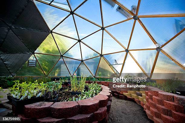 interior of beautiful greenhouse dome - vegetable garden inside greenhouse stock pictures, royalty-free photos & images