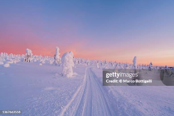 snowmobile track in finnish lapland winter scenery - finnland winter stock pictures, royalty-free photos & images
