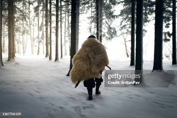 rear view of medieval warrior walking in the forest during sunset - viking stock pictures, royalty-free photos & images