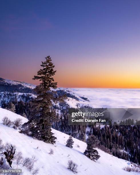 boise weather inversion - inversion_(meteorology) stock-fotos und bilder