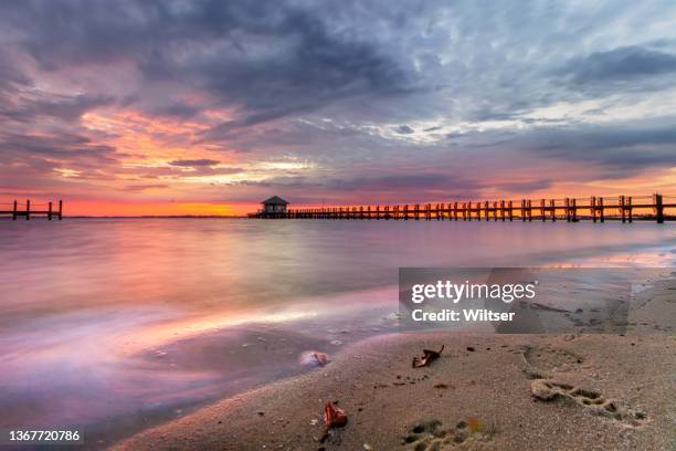 chester roberts park colorful sunrise - punta gorda florida stockfoto's en -beelden