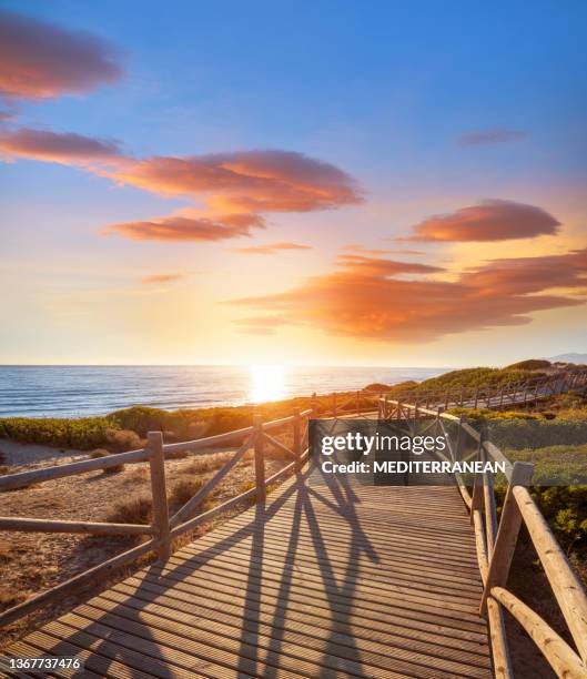 marbella artola dune e spiaggia nel parco naturale di cabopino ai soli - città di málaga foto e immagini stock