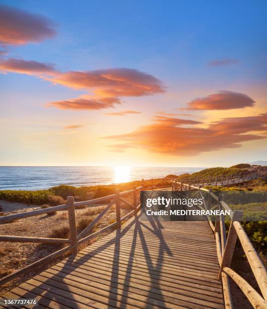 marbella artola dunes and beach in cabopino natural park at suns - málaga imagens e fotografias de stock