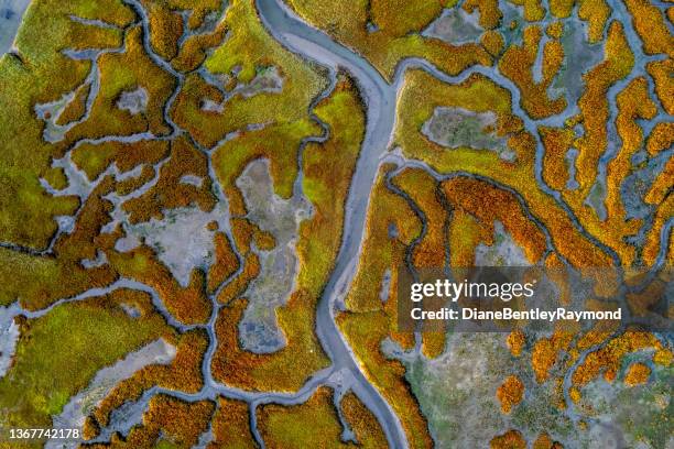 marin county waterways - wet area stock pictures, royalty-free photos & images