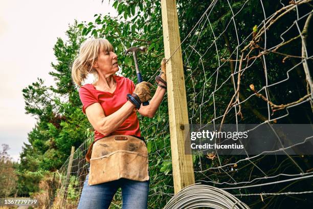 woman repairing boundary fence - damaged fence stock pictures, royalty-free photos & images