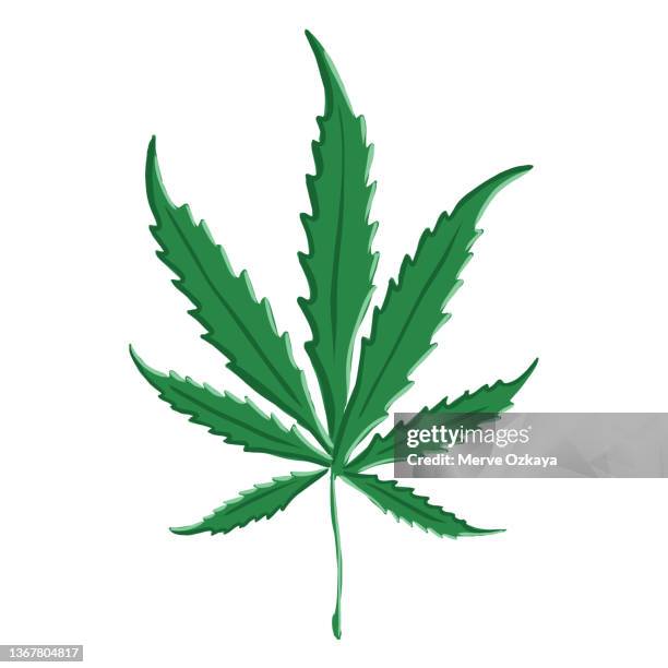 hand drawn marijuana leaf on white background. - expansion joints stock illustrations