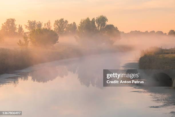 beautiful misty dawn in the spring on the river - brume riviere photos et images de collection