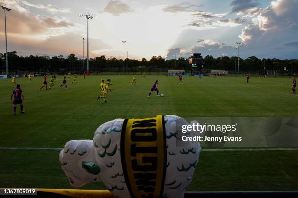 Dolly the inflatable sheep is seen during the round nine A-League Women's match between Perth Glory and Wellington Phoenix at Blacktown Football...