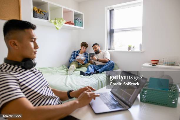 uni students studying together - college dorm stock pictures, royalty-free photos & images