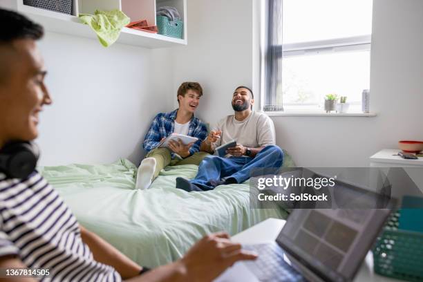 uni-studierende lachen während des studiums - nur junge männer stock-fotos und bilder