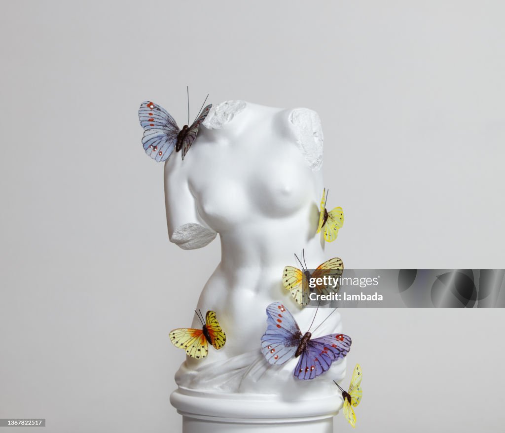 Gipstorso der Venus mit Schmetterlingen