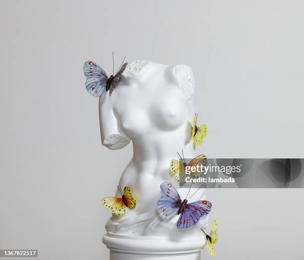 plaster torso of venus with butterflies - roman goddess 個照片及圖片檔