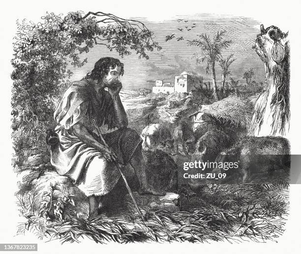 the prodigal son and the pigs, wood engraving, published 1862 - pig back stock illustrations