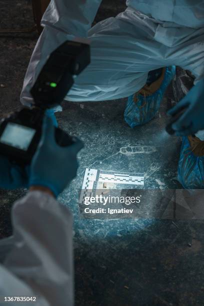 vue de dessus sur les mains d’un criminologue en gants avec appareil photo, représentant des mégots de cigarettes, laissés par des criminels sur le sol - crime scene photos et images de collection