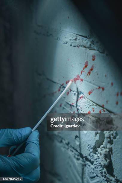 close-up of taking a blood sample as physical evidence from the wall - criminal investigation stock pictures, royalty-free photos & images