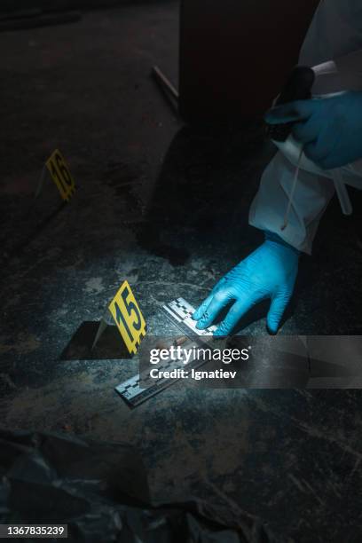 crime scene number on the floor near two bullets with criminalistic ruler and a criminologist hand in glove - flashlight fish stock pictures, royalty-free photos & images