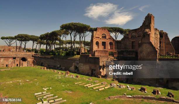 rome italy - roman ruins of palatine hill - palatin stock-fotos und bilder