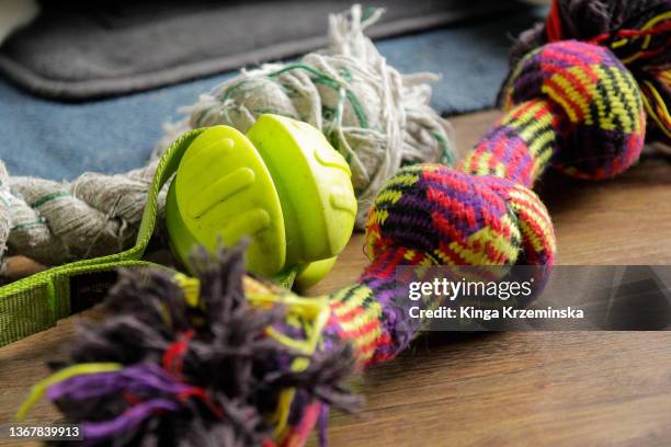 dog's toys - dog's toy fotografías e imágenes de stock